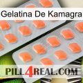 Kamagra Jelly 27